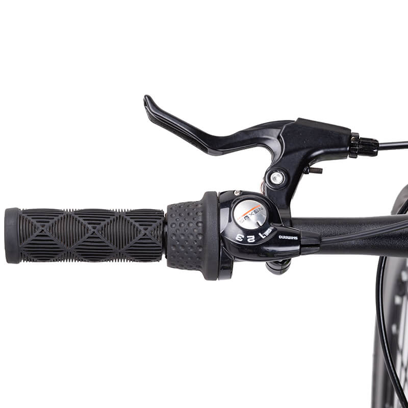 Artemisa Shimano Nexus 3 Cambios / Negro